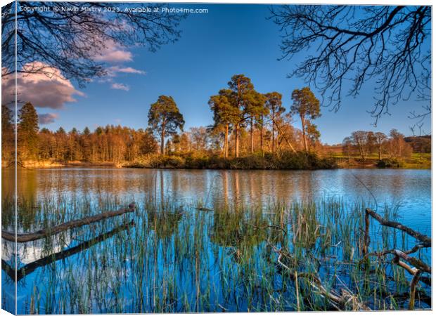 A view of Loch Monzievaird Canvas Print by Navin Mistry