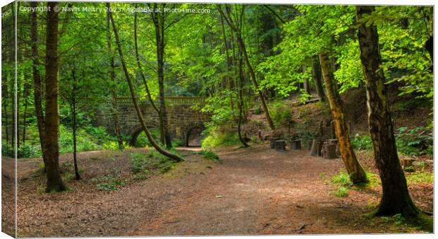 Maspie Den, near Falkland, Fife Canvas Print by Navin Mistry