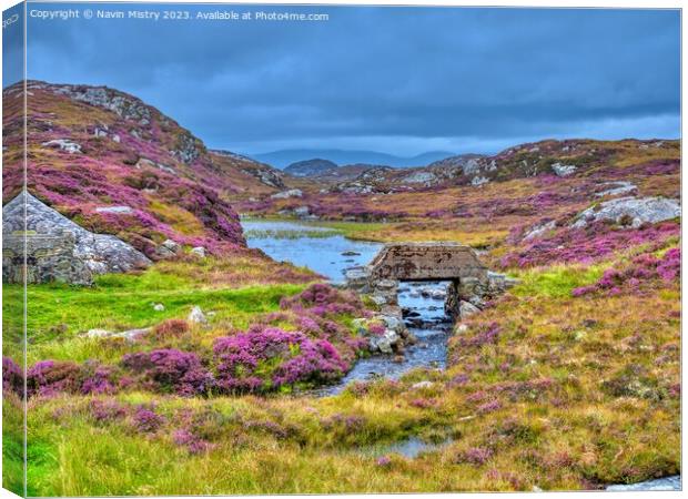 A display of Heather Isle of Harris Canvas Print by Navin Mistry