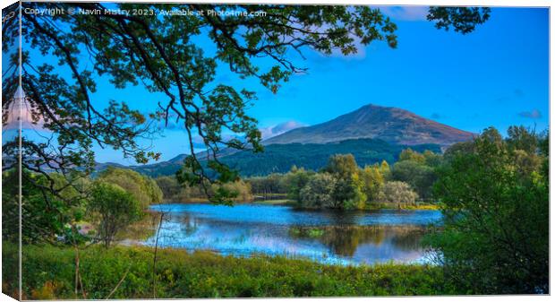 Outdoor waterside Canvas Print by Navin Mistry