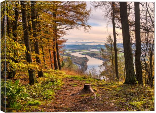 Kinnoull Hill View Point  Canvas Print by Navin Mistry