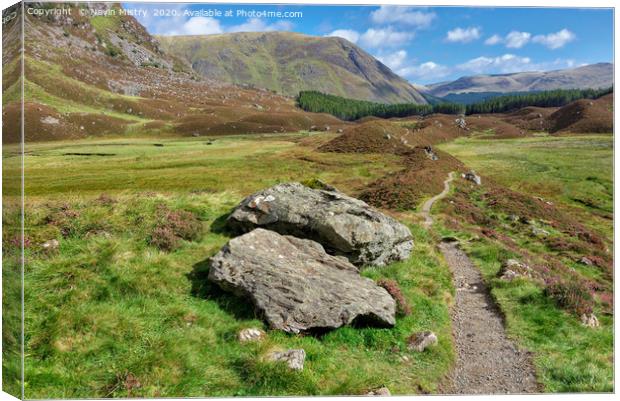 Path through the Corrie Fee, Glen Clova, Cairngorm Canvas Print by Navin Mistry