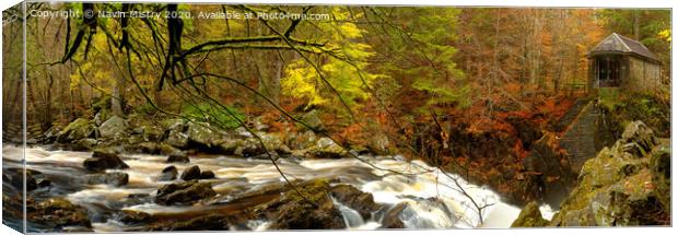 The Hermitage and the River Braan, near Dunkeld, Perthshire Canvas Print by Navin Mistry