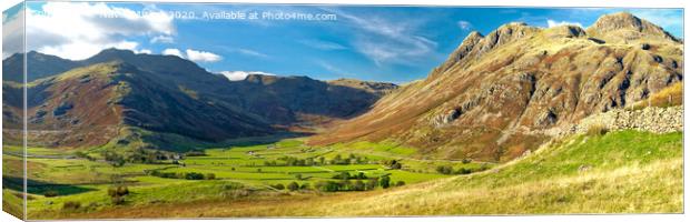 Great Langdale, Lake District, England Canvas Print by Navin Mistry