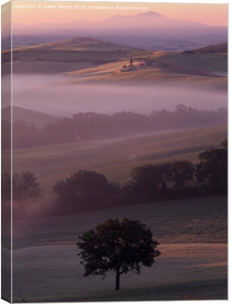 A misty morning Val Val d'Orcia, Tuscany, Italy Canvas Print by Navin Mistry