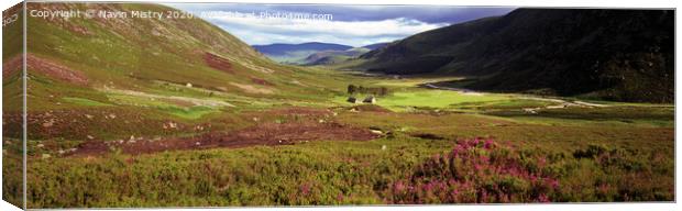 A Panoramic image of Glen Esk, Invermark, Scotland  Canvas Print by Navin Mistry