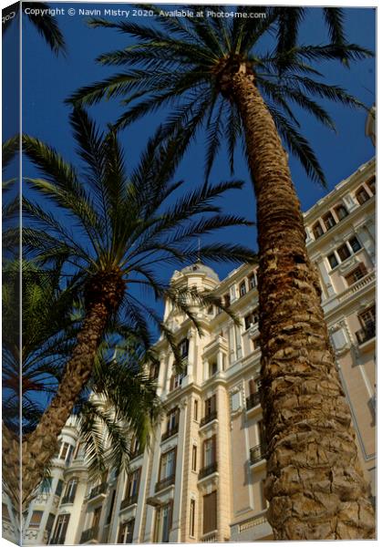Palm tree, La Esplanada,  Alicante, Spain Canvas Print by Navin Mistry