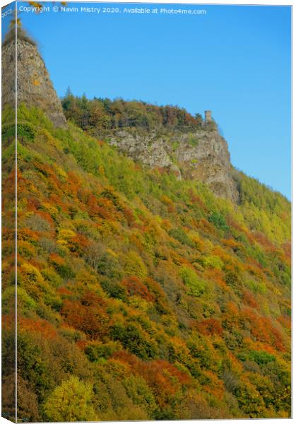 Autumn Colours, Kinnoull Hill, Perth Scotland Canvas Print by Navin Mistry