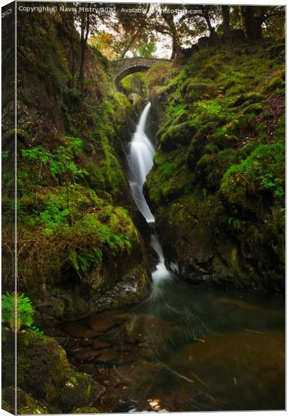 Aira Force Waterfall Lake District National Park, England Canvas Print by Navin Mistry