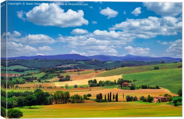 Tuscany Landscape, Italy Canvas Print by Navin Mistry
