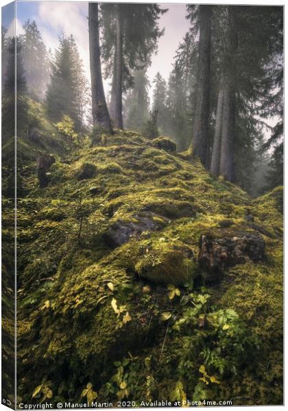 Enchanted Forest Canvas Print by Manuel Martin