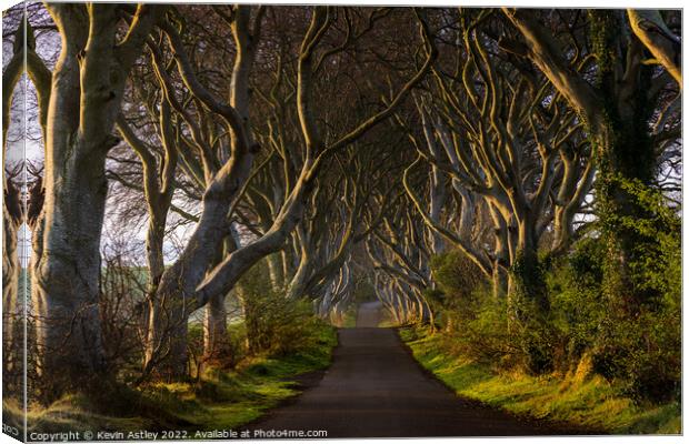 The Dark Hedges Canvas Print by KJArt 