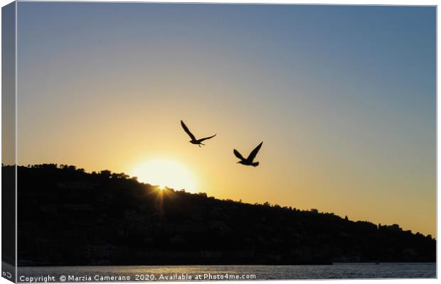 View of sunset and seagulls flying. Canvas Print by Marzia Camerano