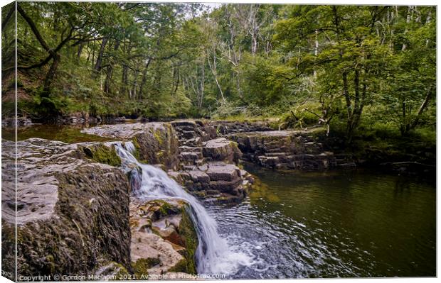 Waterfall on the Afon Pyrddin near Pontneddfechan Canvas Print by Gordon Maclaren