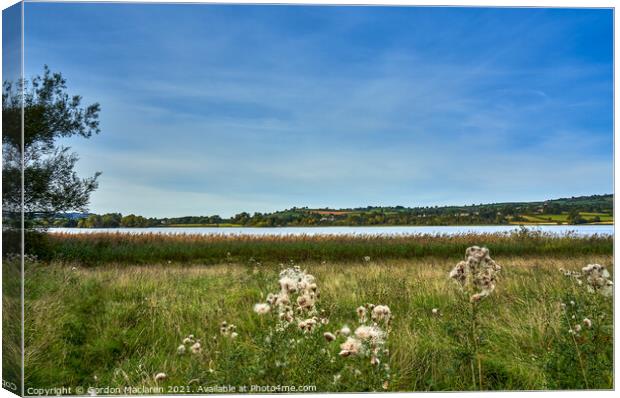 Llangorse Lake, Brecon Beacons National Park Canvas Print by Gordon Maclaren