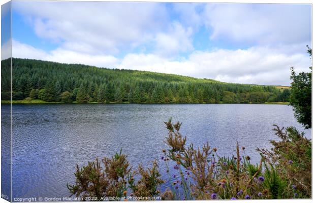 Cantref Reservoir, in the beautiful Brecon Beacons Canvas Print by Gordon Maclaren