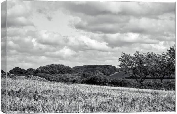 North Somerset countryside in Black and White Canvas Print by Gordon Maclaren
