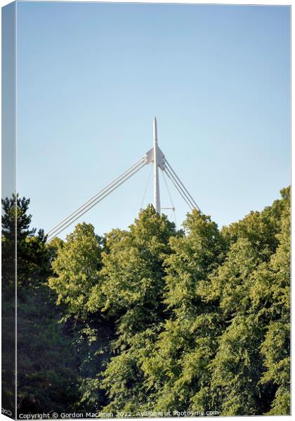 Bute Park and the Principality Stadium Canvas Print by Gordon Maclaren