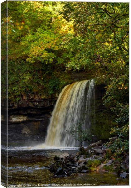 Autumn at Sgwd Gwladys waterfall, Pontneddfechan Canvas Print by Gordon Maclaren