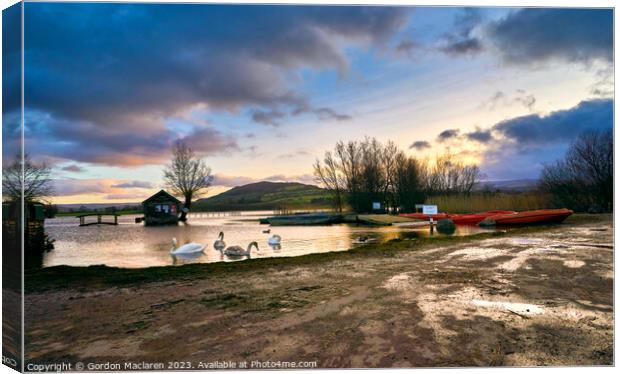 Swans on Llangorse Lake at sunset  Canvas Print by Gordon Maclaren
