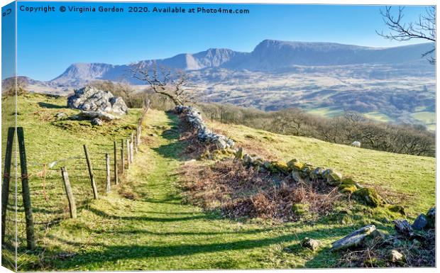 Cadair Idris Canvas Print by Gordon Maclaren