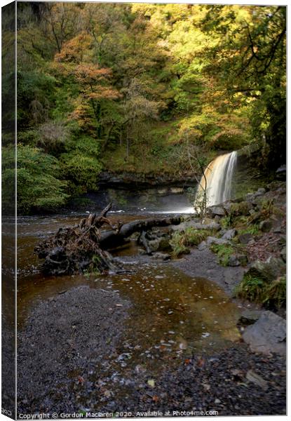 Sgwd Gwladys Waterfall, Brecon Beacons National Park Canvas Print by Gordon Maclaren