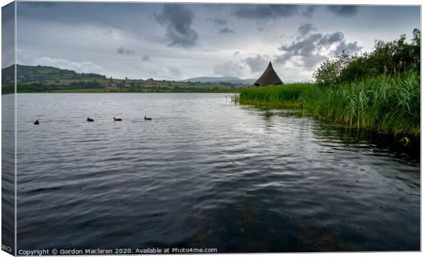 Ducks on Llangorse Lake Canvas Print by Gordon Maclaren