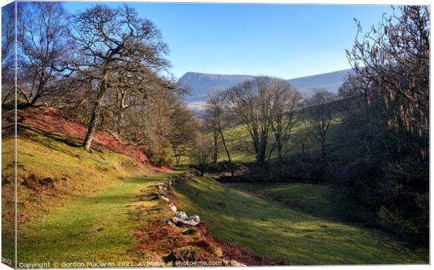 The Path up to Cadair Idris, Snowdonia Canvas Print by Gordon Maclaren