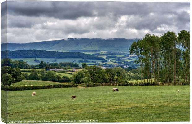 Hay Bluff, the Black Mountains, Wales Canvas Print by Gordon Maclaren