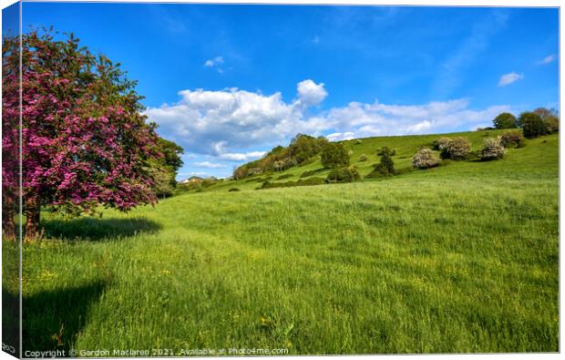Summer fields in Somerset with Glastonbury Tor in the Distance Canvas Print by Gordon Maclaren