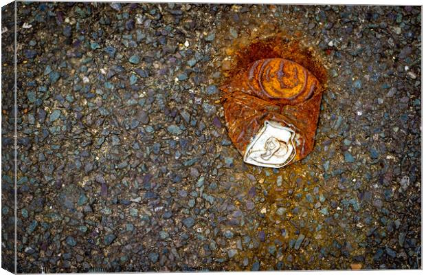 A discarded soda can Canvas Print by Christina Hemsley