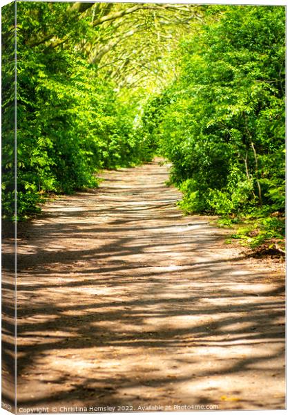 Tranquil day in the woods Canvas Print by Christina Hemsley