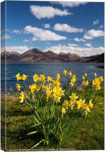 Five Sisters of Kintail in Spring Scotland Canvas Print by Barbara Jones