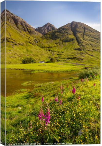 Glen Coe Loch Achtriochtan Summer Flowers   Canvas Print by Barbara Jones