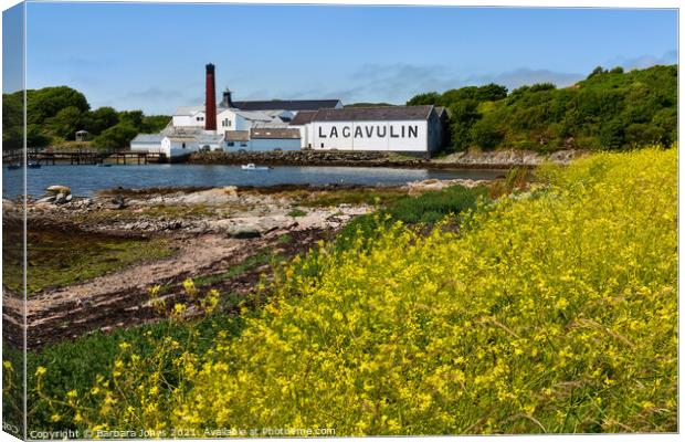 A Summer Meadow by Lagavulin Distillery Canvas Print by Barbara Jones