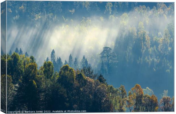 Loch Garry Forest, Autumn Mists. Scotland. Canvas Print by Barbara Jones