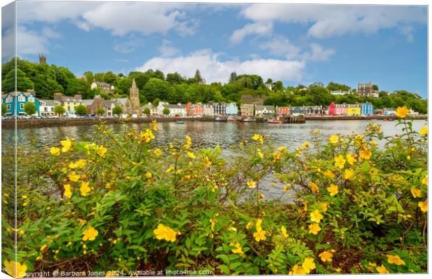 Summer Flowers Tobermory Isle of Mull Scotland Canvas Print by Barbara Jones