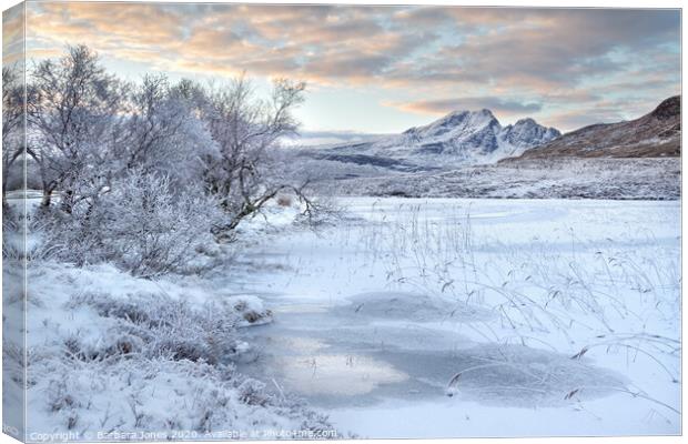 Blaven in Winter Isle of Skye Scotland Canvas Print by Barbara Jones