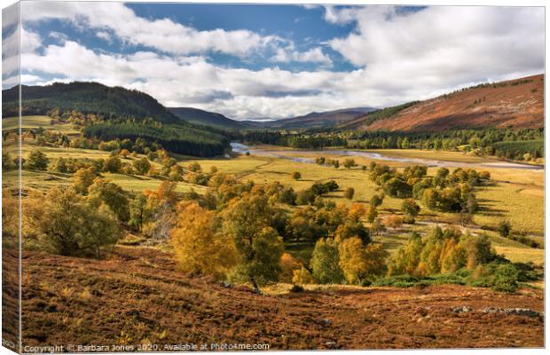 Linn of Dee in Autumn Cairngorms NP Scotland Canvas Print by Barbara Jones
