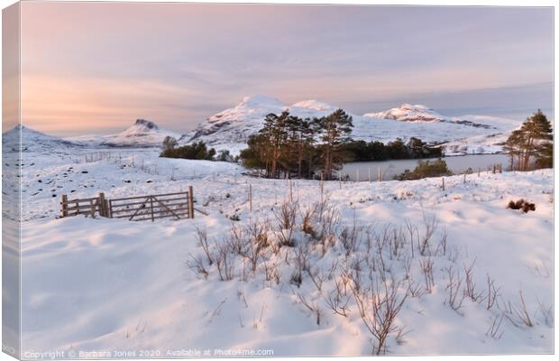Assynt, Winter Sunset, Inverpolly Scotland Canvas Print by Barbara Jones