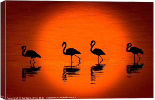Flamingos at Sunset Nakuru Kenya Africa Canvas Print by Barbara Jones