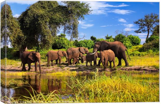 Elephant Family Group Chobe River Botswana Africa Canvas Print by Barbara Jones