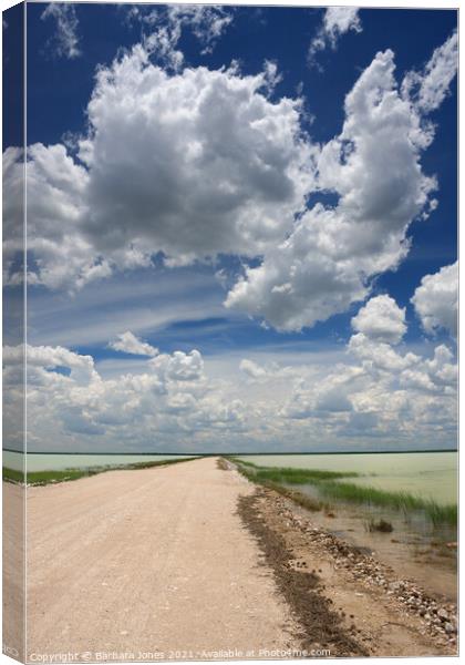 Etosha NP, Namibia, Africa. Fischers Salt Pan  Canvas Print by Barbara Jones