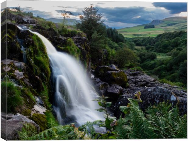 Loup of Fintry Canvas Print by Emma Dickson