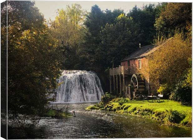 Water Wheel Canvas Print by Emma Dickson