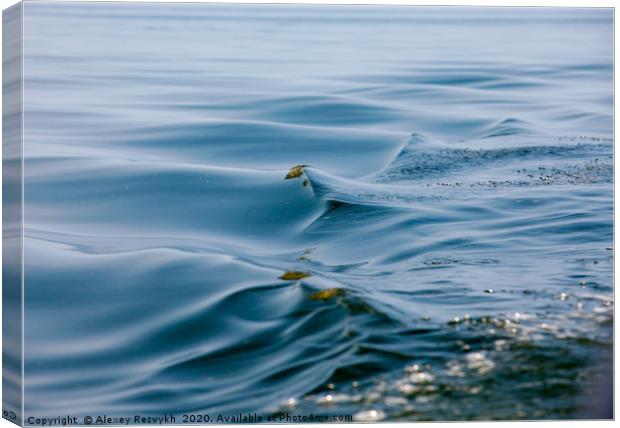 Beautiful water waves. Baltic Sea. Canvas Print by Alexey Rezvykh