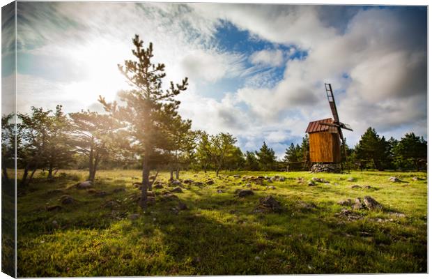 Wooden windmill and trees on sunrise.  Canvas Print by Alexey Rezvykh