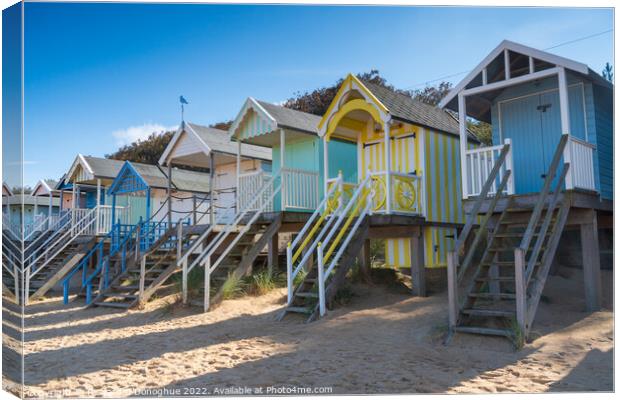 Wells next the Sea Colourful beach huts Canvas Print by Richard O'Donoghue