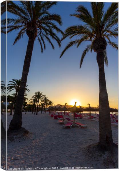 Majorca sunrise beach palm trees  Canvas Print by Richard O'Donoghue