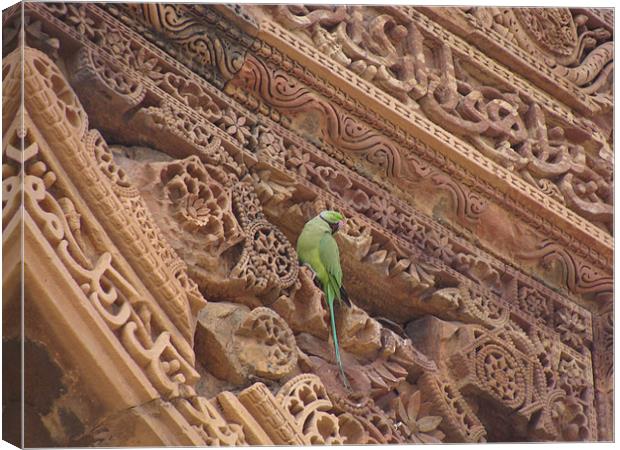 A parrot on top of a beautiful monument  Canvas Print by Ankit Mahindroo